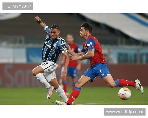 费内巴切边路攻势如潮,表现稳健助力球队取得关键胜利