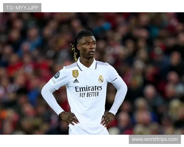 卡马文加技术解析