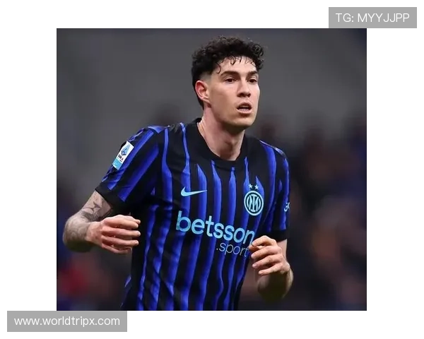 巴斯托尼：从潜力股到国米防线核心的跃迁解析