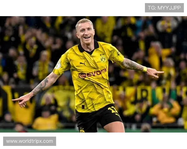 多特蒙德防线屡遭打穿，全队站位混乱成主要症结