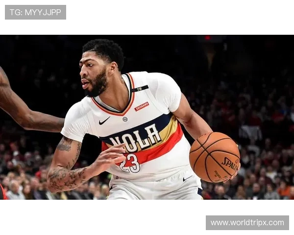 安东尼·戴维斯居然在纽约豪宅里养了只白鹤？这配得上球星身份吗？